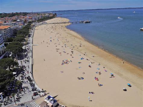 T1 Plein Centre Au Calme Animaux Acceptes Apartment